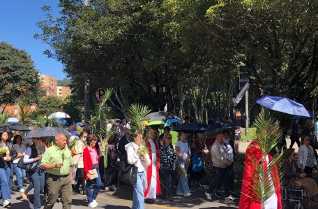 Domingo de Ramos 2025 7